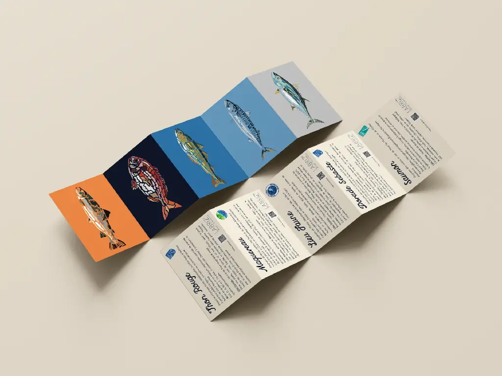 Illustrations Poissons.webp
