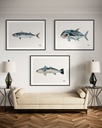AFISH | Illustration poisson + Logo