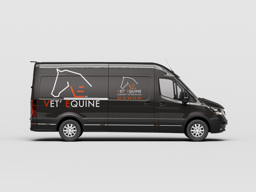 VET' EQUINE | Vétérinaire